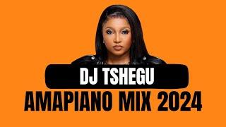 DJ TSHEGU | AMAPIANO MIX 2024 | 04 AUGUST