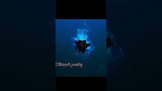 #anime #edit #amv #demon_slayer Ѕнιnoвυ ĸocнo edιт 