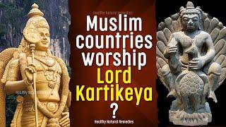 Does Muslim worship Lord Kartikeya? Why is Lord Murugan worshipped mainly in South India?