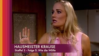 Hausmeister Krause, Staffel 3 - Folge 5: Wie die Wölfe