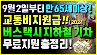 9월 2일부터 모든노인! 만 65세이상 혜택 교통비 지원금! 버스 택시 지하철 기차 무료, 지원 총정리! 정부지원, 지자체 전국 모든 시도군 노인버스 무료 정책 정리