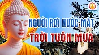 Kể Truyện Đêm Khuya Ngủ Ngon "Những Câu Chuyện Về Tình Cha Nghĩa Mẹ Sâu Sắc, Rung Động Lòng Người"