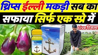 BASF Pirate insecticide | Pirate insecticide new product 2024 | Mirch ki kheti | Baingan ki kheti