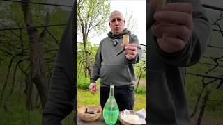 Арака традиционный осетинский напиток #самозванцы #осетия