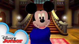 Count Mikula | Music Video | Mickey Mouse Clubhouse | @disneyjr