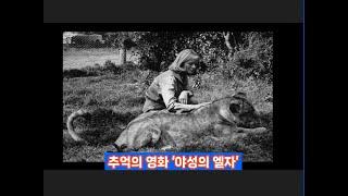 추억의 영화 ‘야성의 엘자 born free’.