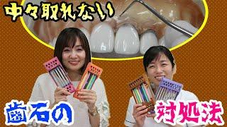 【歯石があると分かっているのに取ることができない場合の対処方法を教えて下さい。】今更聞けない歯科知識 新人歯科衛生士さんのためのお悩み相談室/萬田久美子先生