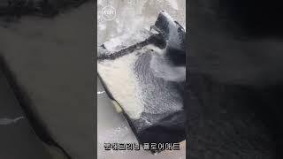 아지트카워시(azitcarwash) 플로어매트 분해크리닝