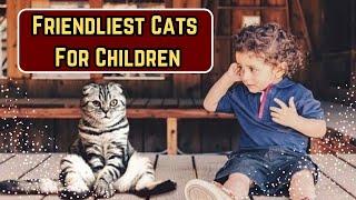 10 Best Child-Friendly Cat Breeds (And Why!)