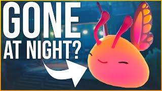 Do Flutter Slimes Disappear at Night in Slime Rancher 2?