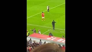 Benfica fans throw objects to Roger Schmidt after he subs off Joao Neves for Joao Mário