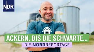 Täglicher Kampf: Vom Feld in den Futtertrog | Die Nordreportage | NDR