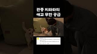 강아지 귀여워귀여워귀여워귀여워귀여워귀여워귀여워