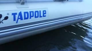 Лодка Tadpole + мотор Hangkai 9.9  69000руб