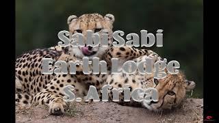 Earth Lodge, Sabi Sands, South Africa.   A review of this luxury safari lodge.