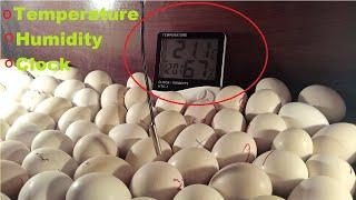 Best  Digital temperature and humidity meter for egg incubator || Mian inventions