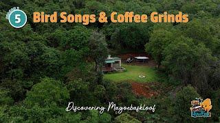 JTS3 Ep 5 - Overlanding South Africa: Magical Mystical Magoebaskloof - bird songs and coffee grinds