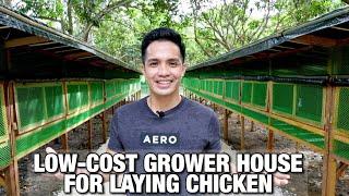 LOW-COST GROWER HOUSE FOR LAYING CHICKEN