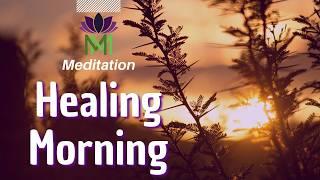 Morning Awakening: 15 Minute Somatic Mindfulness Meditation for Self-Healing | Mindful Movement