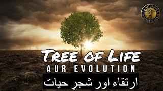 Tree of Life Kya hai?