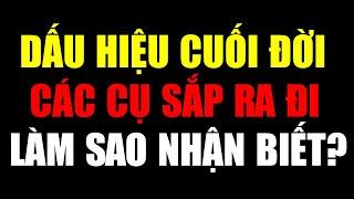 Người Già Yếu Dần: Dấu Hiệu Cuối Đời Ít Ai Để Ý