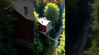 하동에 자연 그대로의 휴양림......#AI영상#풍경#AI#여행가볼만한곳#바다#AI쇼츠#해변#차박#원차박#가을여행#산#하동구재봉자연휴양림