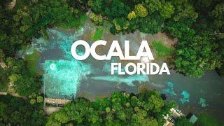 Visiting Ocala, Florida | Scenic Highlights | 2023