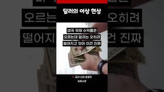 금리는 오르는데 왜 달러는 무너질까?…상식이 뒤집힌 금융시장