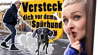 Verstecken mit Ari und Spürhund in der Westernstadt || Challenge || Das schaffst du nie!