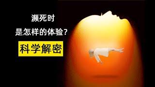 瀕死體驗的科學解密 人死的時候是什麼樣的體驗？ 離體體驗 以正念面對死亡What is Near Death Experience? Facing death with mindfulness