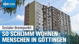 Müllberge, Schimmel und Ungeziefer: Verzweifelte Mieter im Göttinger Hochhauskomplex | NDR Info