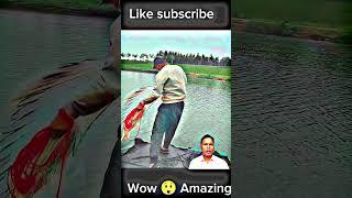 The fisherman through net casting #castnetfish #bigfish #trending #viral