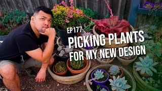 #177 Picking plants for my cascading succulent garden design