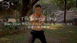 Rare Shaolin Tai Chi — The Shuang Yang | "Sun Front White Crane"