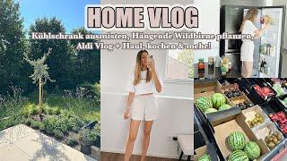 Kühlschrank ausmisten, Hängende Wildbirne pflanzen, Aldi Vlog + Haul, kochen & mehr!  Stefanie Le