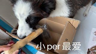 小paper和她的第一批玩具