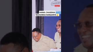 HAWA CHADEMA WANAWACHANGANYA️ #globaltv #breaking #shortsvideo #viralvideo #trending #youtube