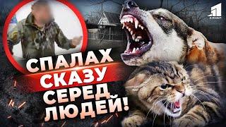 Спалах СКАЗУ серед ЛЮДЕЙ! Як Лисиці Принесли Смертельну Хворобу на Дніпропетровщину?