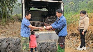 Harvest the eggplants goes to the market sell-Sell herd of piglets to traders at the farm/XuanTruong