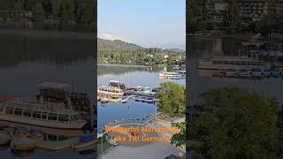 Wonderful and quiet morning at lake titi in Germany #titisee #Shorts