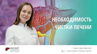 Необходимость чистки печени | Клиника ЭКСПЕРТ