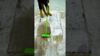 Foam Scrub – Uses foam to gently scrub carpets