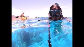 OLOWALU REEF KAYAKING & SNORKELING MAUI HAWAII