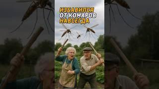 Как навсегда избавиться от комаров, ос и слепней #огород #сад #комары