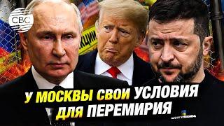 Россия согласится на перемирие, но выставит свои условия прекращения огня