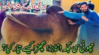 Master Sahib Ke Shagird Ka Misali Shouq | Khan Cattle Farm Orangi Town | Cattle Market Karachi