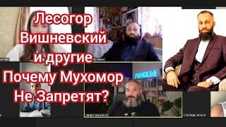 Лесогор и Вишневский на защите Мухомора Огненное интервью Почему мухомор не запретят?