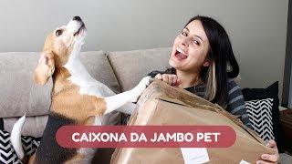 Recebidos do mês - Caixona com brinquedos da Jambo Pet