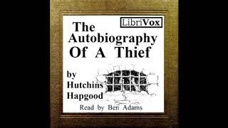 The Autobiography of a Thief  Full Audiobook  True Crime  (By Hutchins Hapgood)