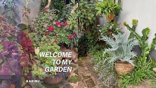 Welcome To My Garden | In Swahili We Say "Karibu".